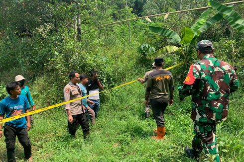 Kerangka Manusia Berserakan di Hutan Jasinga Bogor, Polisi: Diduga Dimakan Hewan Liar