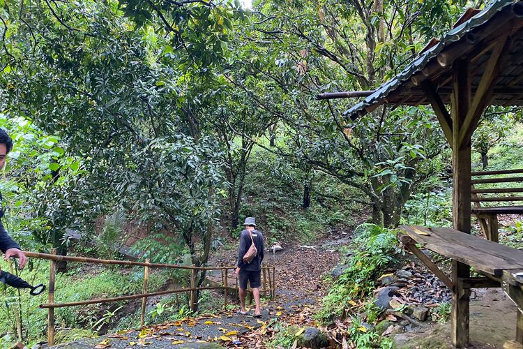 Jalur trekking menuju Curug Cikanteh di kawasan Geopark Ciletuh, Kabupaten Sukabumi. 