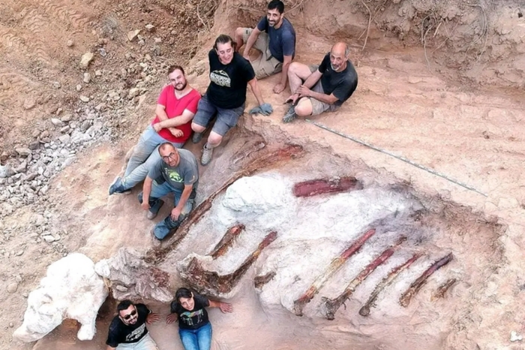 
Tim peneliti bersama fosil tulang rusuk sauropoda yang mereka temukan 