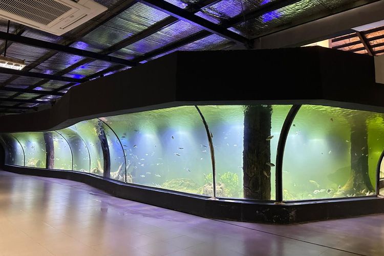 Bentuk akuarium cekung di Aquarium Indonesia Pangandaran.