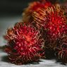 Ini Alasan Rambutan Banyak Semutnya, Bukan karena Rasanya Manis