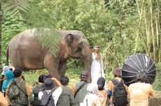 Taman Safari Ajak Pelajar Cintai Satwa Endemik Lewat Kompetisi Foto