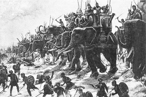 Sejarah Gajah Perang: 
