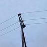 Tersengat Listrik Saat Perbaiki Lampu Lapangan Tenis, Petugas PLN Manokwari Tewas