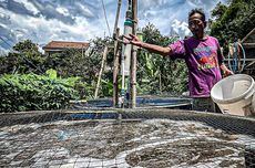 Tren Belanja Online Masih Diminati, tapi Belanja Offline Tidak Kalah Saing