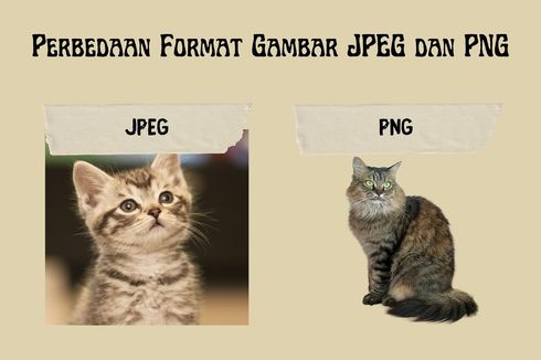 Perbedaan Format Gambar JPEG dan PNG