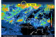 Setelah China, Topan Yagi Terjang Vietnam dan Menumbangkan Ribuan Pohon