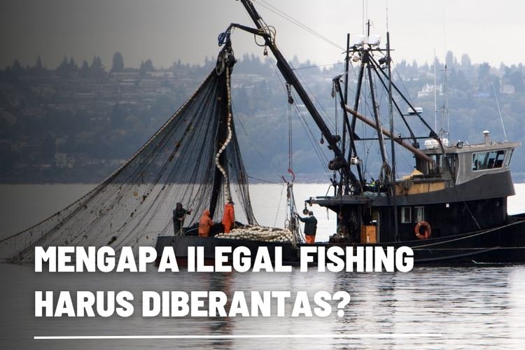 Mengapa illegal fishing harus diberantas?