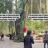 Pohon Tumbang di Monkey Forest Ubud Makan Korban, Wisatawan Diimbau Waspada Saat Cuaca Buruk