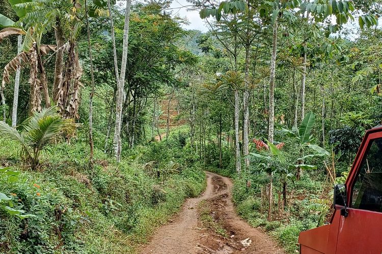 Kondisi jalan menuju Kampung Cicendo RT 1 RW 1, Desa Rancakole, Kecamatan Arjasari, Kabupaten Bandung. Kondisi ini sempat viral di media sosial lantara ada Ibu hamil yang ditandu menuju rumah persalinan, Rabu (2/3/2022).