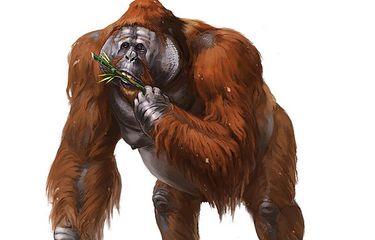 7 Fakta Gigantopithecus, Kera Terbesar yang Pernah Hidup di Bumi
