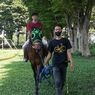 Sedang Belajar Berkuda, Kenali Kondisi Kuda dari Posisi Telinganya