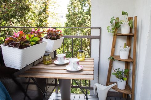 Begini Cara Bikin Taman Vertikal di Balkon Rumah Minimalis Modern