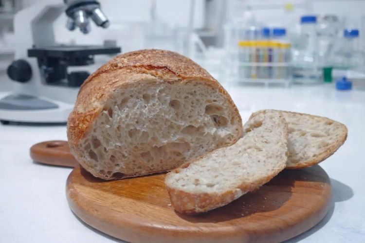 BRIN Bikin Sourdough Beras Merah Segreng Handayani dari Gunungkidul