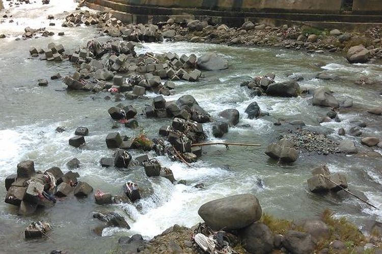 Beberapa hexapod berada di tengah-tengah sungai di sekitar Bendung Katulampa. Keberadaannya yang seolah-olah diacak menyatu dengan keberadaan batu kali di sekitarnya.