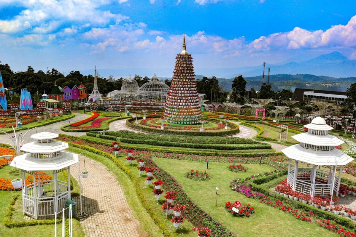 Taman Bunga Celosia di Kabupaten Semarang.