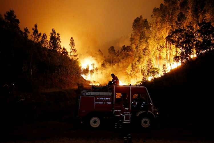 Petugas pemadam kebakaran Portugal bersiaga di kawasan hutan dekat dekat Bouça.