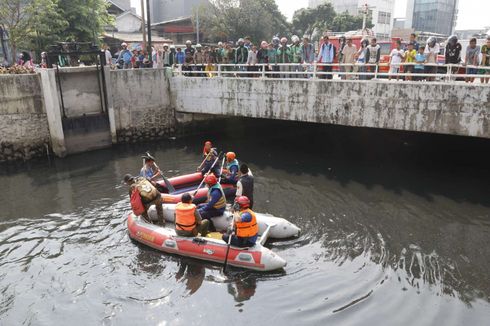 BKSDA Jakarta: Jika Seminggu Tak Muncul, Buaya di Kali Grogol Telah Berpindah