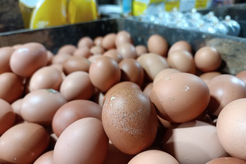 Harga Telur Melambung, Warga: Biasa Beli 1 Kg, Sekarang Cuma Sanggup Setengah Kilo, Duitnya Kurang...