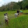 981 Wisatawan Kunjungi Desa Wisata Golo Loni NTT hingga November 2022