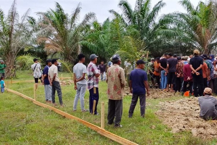 HGU Segera Berakhir, Penjarahan Sawit di Aceh Utara Kian Tak Terkendali, Kerugian PTPN IV Rp 62,6 M