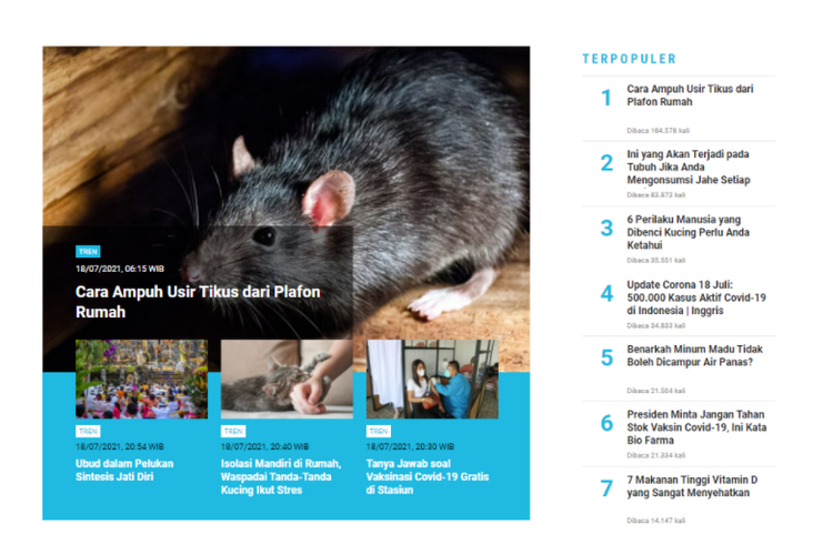 Berita populer Tren: cara ampuh usir tikus dari plafon, dan apa yang terjadi pada tubuh jika mengonsumsi jahe setiap hari.