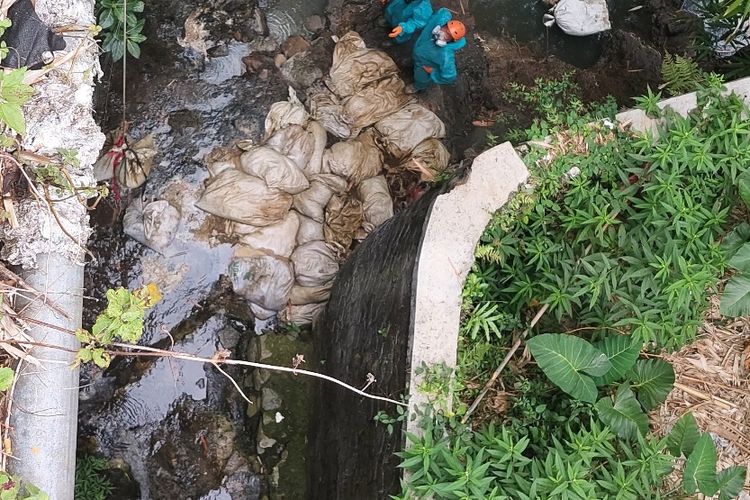 30-an Karung Bangkai Ayam Dibuang ke Sungai di Salatiga, Awalnya Warga Cium Bau Menyengat