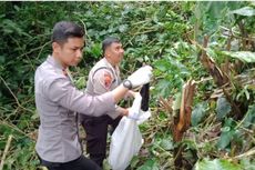 Celana Dalam Bekas Peziarah Berserakan di Situs Nagara Padang Ciwidey