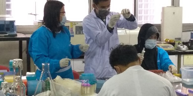 Selain Hog Cholera Babi Yang Mati Di Sumut Terindikasi Terserang Virus Demam Babi Afrika Halaman All Kompas Com