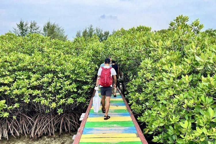 Menyusuri hutan mangrove, Pulau Kelapa Dua (KOMPAS.com/Suci Wulandari Putri).