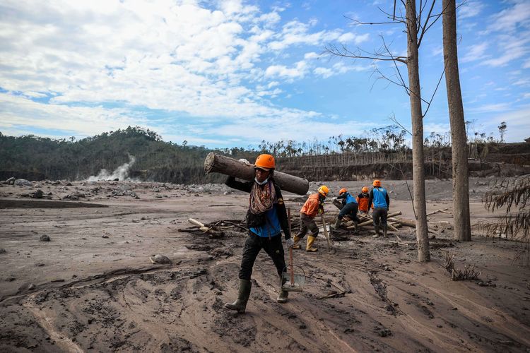 Tim SAR gabungan menyusuri jalur material guguran awan panas Gunung Semeru saat operasi pencarian korban di Desa Curah Kobokan, Kecamatan Candipuro, Lumajang, Jawa Timur, Selasa (7/12/2021). Berdasarkan data Badan Nasional Penanggulangan Bencana (BNPB) per Senin (06/12) pukul 20.15 WIB, setidaknya 22 orang tewas, sementara 22 orang dinyatakan hilang dan 56 lainnya mengalami luka-luka. Erupsi juga berdampak terhadap 5.205 jiwa.