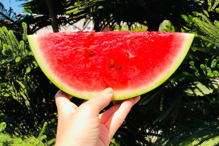 Sebanyak 90 persen dari semangka terdiri dari air. Jadi, semangka tak hanya membantu kita tetap terhidrasi, tetapi juga membuat kita kenyang lebih lama. Itulah mengapa semangka menjadi salah satu buah untuk diet yang baik dikonsumsi.