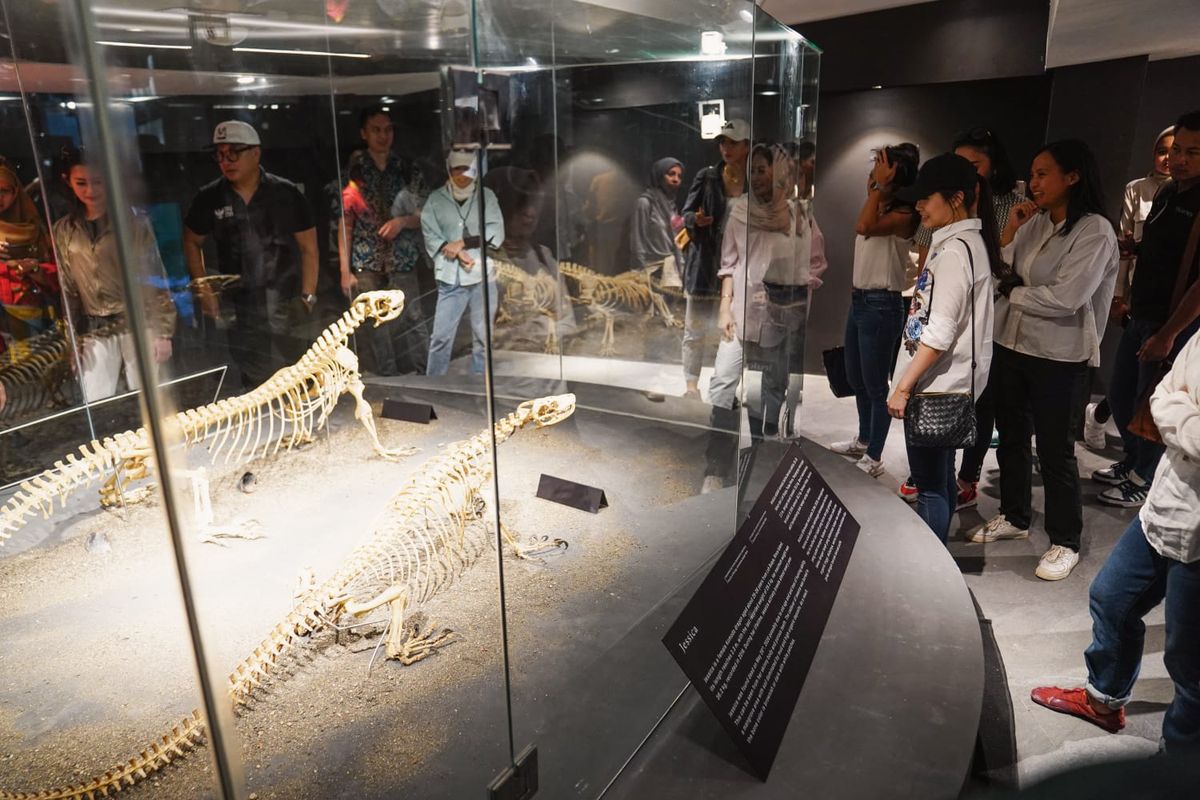 Niang Komodo Komodo National Park biodiversity exhibit