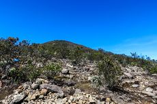 6 Tempat Angker di Indonesia, Ada Gunung dengan Pasar Setan