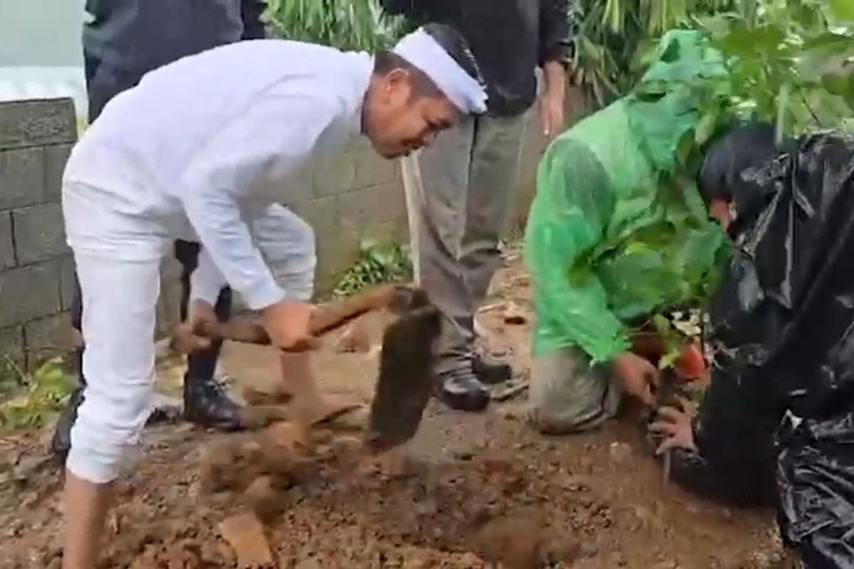 Gubernur Jawa Barat, Dedi Mulyadi mencangkul petak tanah di area Hibisc Fantasy, Puncak, Kabupaten Bogor, Sabtu (8/3/2025). Dia hendak menanam sebuah bibit pohon di daerah tersebut.