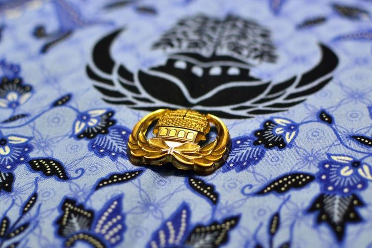Kontrak 57 PPPK Paruh Waktu di Karanganyar Tak Diperpanjang, Ada yang Mangkir Kerja 3 Bulan