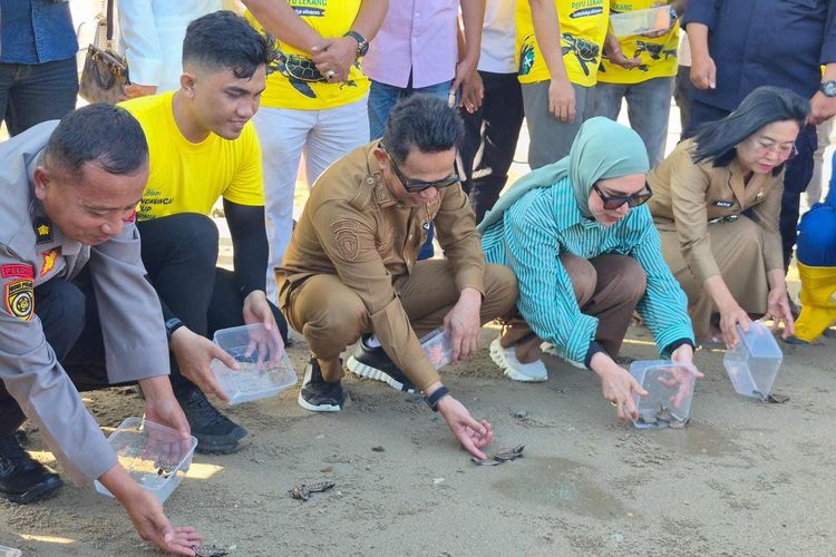 Lepas 80 Tukik, Walkot Balikpapan Tolak Reklamasi Pantai demi Jaga Tempat Bertelur Penyu