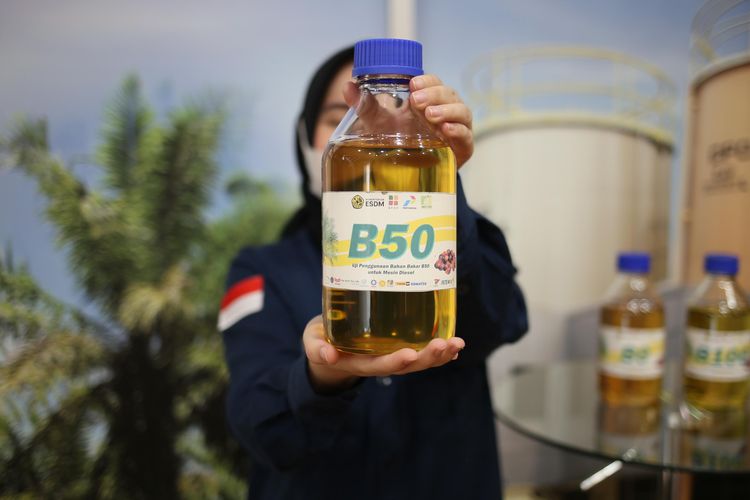B50 Berlaku Mulai 1 Juli 2026, Apa Saja Kelebihan dan Kekurangannya?