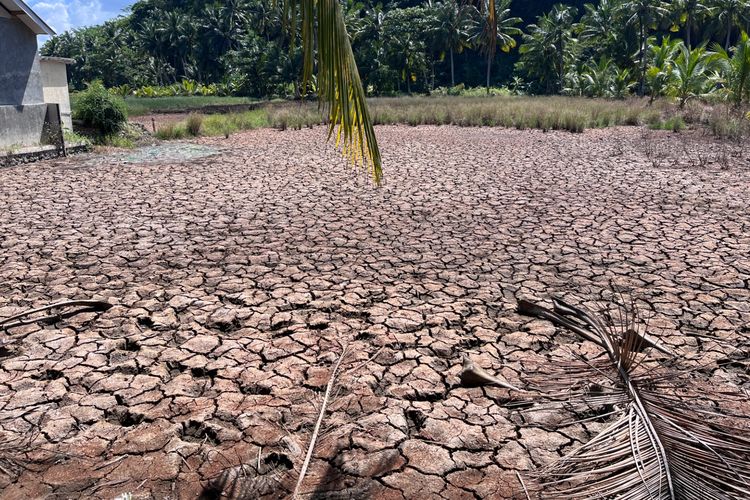 Kekeringan Landa Majingklak Pangandaran, Warga Rela Pakai Air Asin hingga Tempuh 5 Km demi Air Bersih