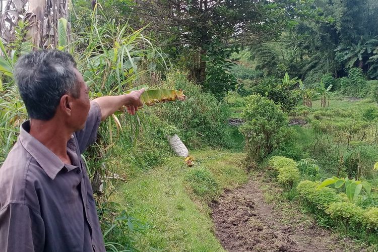 Salah satu warga menunjukkan lokasi pencurian cabai di Dusun Pandan, Desa Pandanrejo, Kota Batu, Jawa Timur.