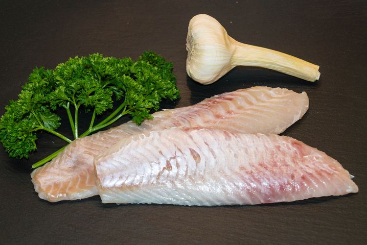 ilustrasi ikan kakap filet.