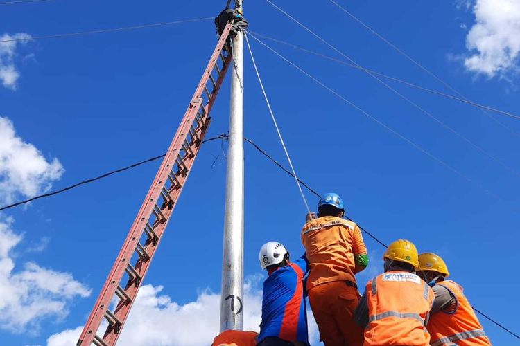 Petugas PLN NTT memperbaiki jaringan listrik yang rusak di Kabupaten Sabu Raijua