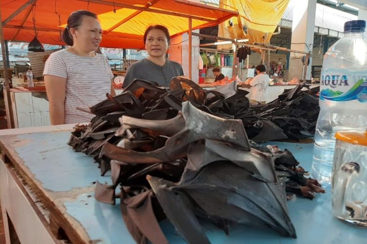 Daging Kelelawar Tetap Jadi Primadona di Pasar Manado 