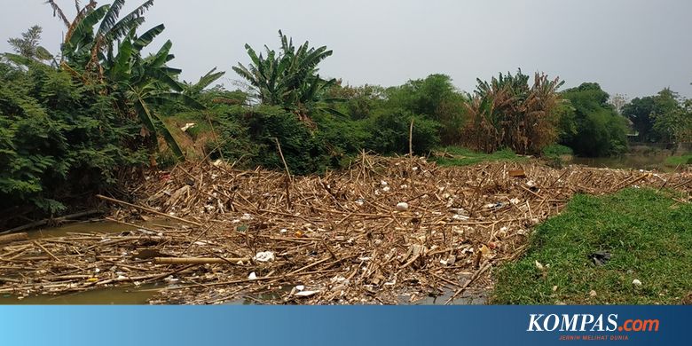 3 Fakta Tumpukan Sampah Bambu di Kali Cikeas, Bekasi