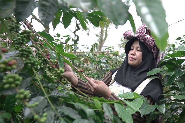 Salah seorang petani kopi Gayo asal Aceh. 