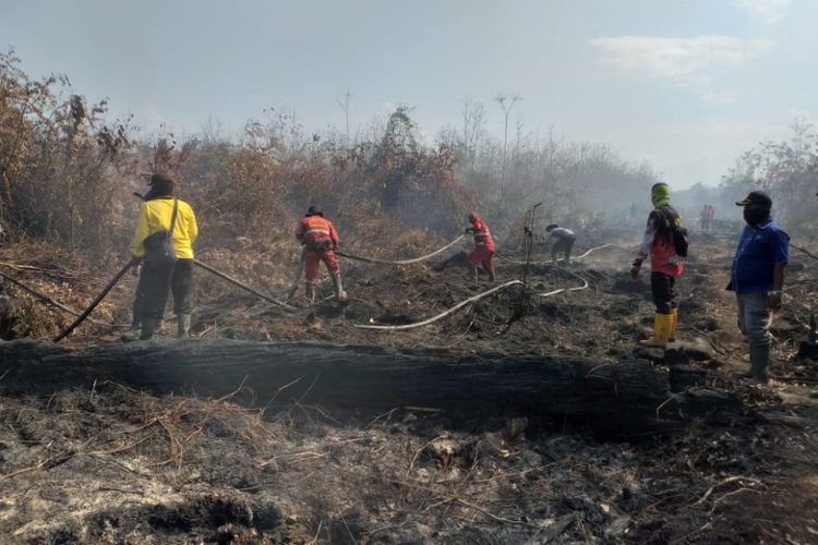 Petugas gabungan melakukan pemadaman api karhutla di Kelurahan Terkul, Kecamatan Rupat, Kabupaten Bengkalis, Riau, Rabu (20/2/2019).