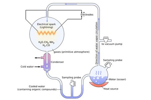 Tahapan Terbentuknya Senyawa Organik Menurut Teori Evolusi Kimia