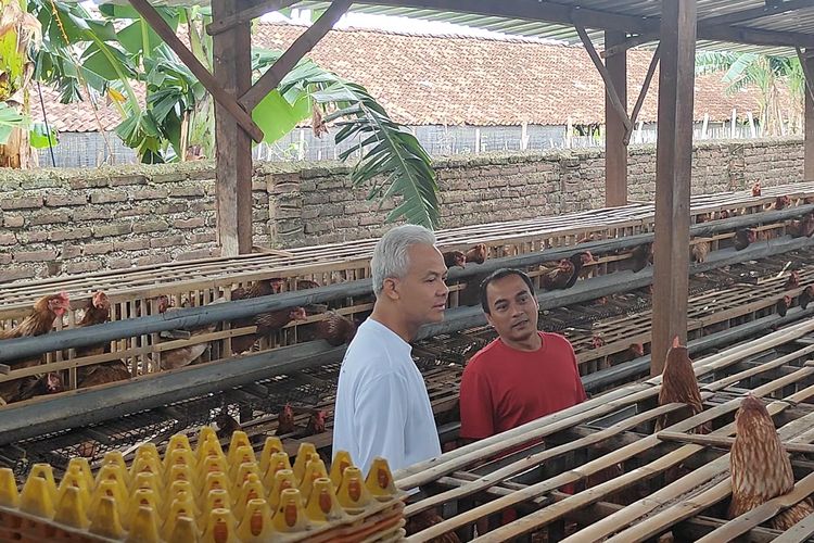 Nostalgia Ganjar usai Bertemu Peternak Ayam Petelur di Magetan...