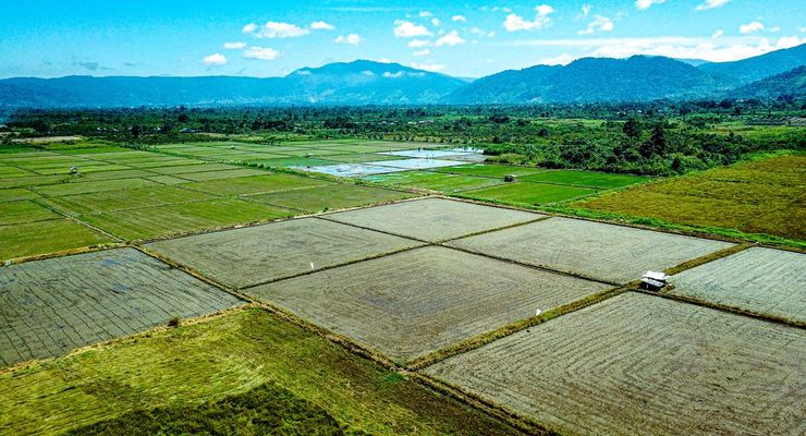 6 Bulan, Tenggat Waktu Daerah Perbaiki Tata Ruang Lahan Sawah
