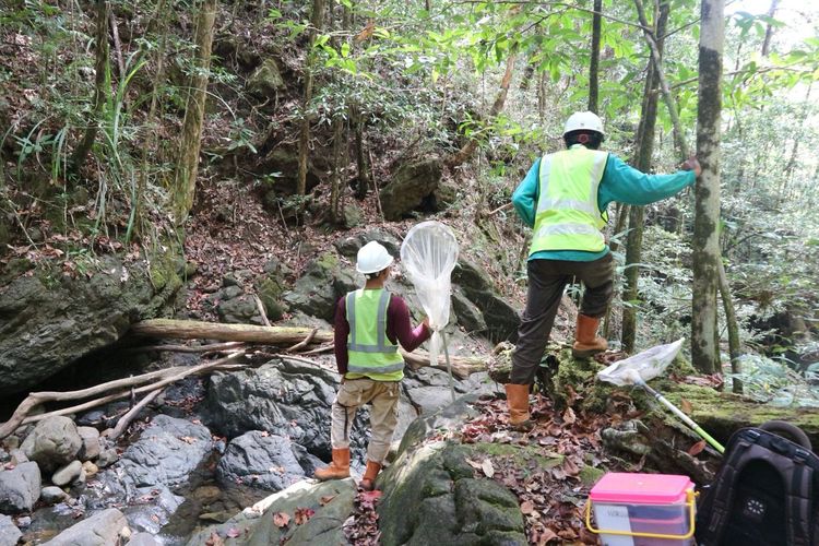 Hasil analisis vegetasi yang dilakukan lewat Survei Pemantauan Wilayah Ekologi disampaikan oleh para peneliti. Mereka mendapati bahwa kondisi hutan berada dalam kondisi baik.